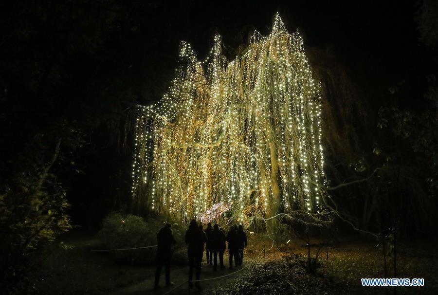 Visitors look on tree with light decorations during the \