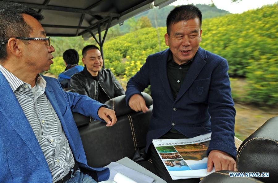 Zhu Renbin (1st R), secretary of the Communist Party of China local branch in Lujia Village, discusses the village\'s development plan with Ding Wei (1st L), a designer from south China\'s Guangdong Province, in Lujia of Anji County, east China\'s Zhejiang Province, Nov. 14, 2018. Lujia Village is located in the mountainous region in northeastern Anji. The village has a population of over 2,200 and about 533 hectares of bamboo forests. To build a beautiful village and improve the living of local villagers, Lujia implemented a comprehensive plan for rural, industrial and tourism development in recent years. The income of the village\'s collective economy surged from 18,000 yuan (about 2,500 U.S. dollars) in 2011 to 3.3 million yuan (about 475,000 U.S. dollars) in 2017. The per capita income of local people arrives at 35,000 yuan (about 5,000 U.S. dollars). So far, the village has collective assets valued at nearly 200 million yuan (about 28.8 million U.S. dollars). (Xinhua/Tan Jin)