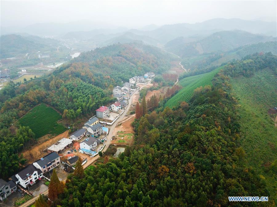 Aerial photo taken on Nov. 16, 2018 shows the scenery of Lujia Village in Anji County, east China\'s Zhejiang Province. Lujia Village is located in the mountainous region in northeastern Anji. The village has a population of over 2,200 and about 533 hectares of bamboo forests. To build a beautiful village and improve the living of local villagers, Lujia implemented a comprehensive plan for rural, industrial and tourism development in recent years. The income of the village\'s collective economy surged from 18,000 yuan (about 2,500 U.S. dollars) in 2011 to 3.3 million yuan (about 475,000 U.S. dollars) in 2017. The per capita income of local people arrives at 35,000 yuan (about 5,000 U.S. dollars). So far, the village has collective assets valued at nearly 200 million yuan (about 28.8 million U.S. dollars). (Xinhua/Meng Chenguang)