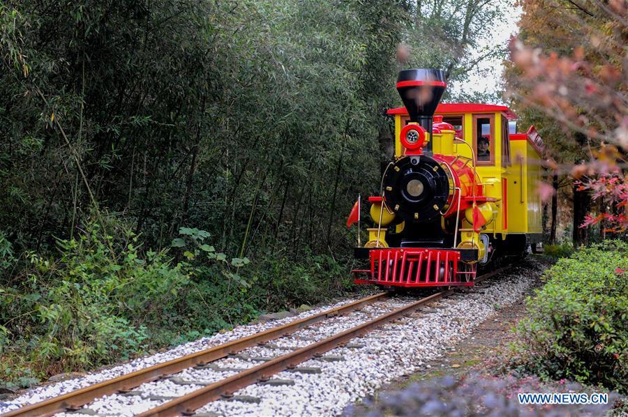 A sightseeing train runs across Lujia Village in Anji County, east China\'s Zhejiang Province, Nov. 17, 2018. Lujia Village is located in the mountainous region in northeastern Anji. The village has a population of over 2,200 and about 533 hectares of bamboo forests. To build a beautiful village and improve the living of local villagers, Lujia implemented a comprehensive plan for rural, industrial and tourism development in recent years. The income of the village\'s collective economy surged from 18,000 yuan (about 2,500 U.S. dollars) in 2011 to 3.3 million yuan (about 475,000 U.S. dollars) in 2017. The per capita income of local people arrives at 35,000 yuan (about 5,000 U.S. dollars). So far, the village has collective assets valued at nearly 200 million yuan (about 28.8 million U.S. dollars).(Xinhua/Zhang Liqing)