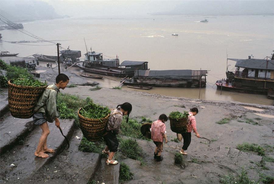 Four friends walk to the bank of the Changshou River in Chongqing in 1980. (Photo provided to chinadaily.com.cn)