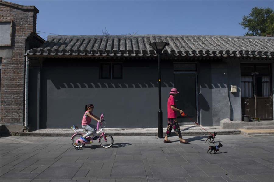 A child rides a bike and a woman walks two dogs on Damochang Hutong in Qianmen, Beijing, Sept 9, 2018. (Photo provided to chinadaily.com.cn)