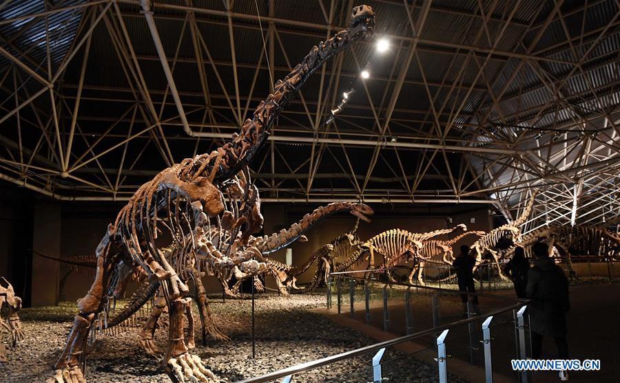Tourists view dinosaur fossils at the World Dinosaur Valley in Lufeng County, southwest China\'s Yunnan Province, Dec. 23, 2017. The Lufeng World Dinosaur Valley, a dinosaur theme park, exhibited over 100 fossils of a variety of dinosaurs. China is slated to become world\'s largest theme park market by 2020, when the number of tourists is expected to exceed 230 million, according to a fresh report by U.S. engineering firm AECOM. The number of tourists to Chinese theme parks have seen an average annual growth oTourists view dinosaur fossils at the World Dinosaur Valley in Lufeng County, southwest China\'s Yunnan Province, Dec. 23, 2017. The Lufeng World Dinosaur Valley, a dinosaur theme park, exhibited over 100 fossils of a variety of dinosaurs. China is slated to become world\'s largest theme park market by 2020, when the number of tourists is expected to exceed 230 million, according to a fresh report by U.S. engineering firm AECOM. The number of tourists to Chinese theme parks have seen an average annual growth of 13 percent in the past decade, and reached 190 million in 2017. The number is expected to keep the double digit growth in the following years, according to the report. The report attributes the rapid growth to Chinese consumers\' rising income that sparks greater demands on leisure activities, as well as more convenient public transportation systems. (Xinhua/Lin Yiguang)f 13 percent in the past decade, and reached 190 million in 2017. The number is expected to keep the double digit growth in the following years, according to the report. The report attributes the rapid growth to Chinese consumers\' rising income that sparks greater demands on leisure activities, as well as more convenient public transportation systems. (Xinhua/Lin Yiguang)