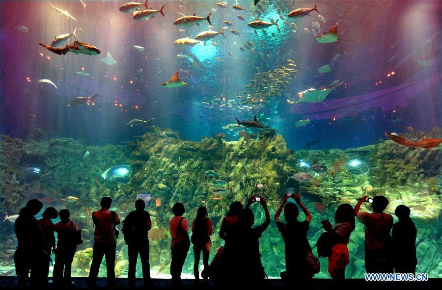 Tourists watch fish in the Ocean Park in Hong Kong, south China, May 29, 2012. China is slated to become world\'s largest theme park market by 2020, when the number of tourists is expected to exceed 230 million, according to a fresh report by U.S. engineering firm AECOM. The number of tourists to Chinese theme parks have seen an average annual growth of 13 percent in the past decade, and reached 190 million in 2017. The number is expected to keep the double digit growth in the following years, according to the report. The report attributes the rapid growth to Chinese consumers\' rising income that sparks greater demands on leisure activities, as well as more convenient public transportation systems. (Xinhua/Chen Xiaowei)