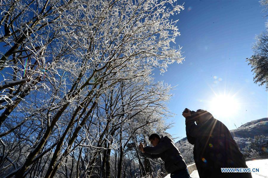 People take photos of snow-covered trees at Dashui forest in Longping Town, Baokang County, central China\'s Hubei Province, Nov. 18, 2018. (Xinhua/Yang Tao)