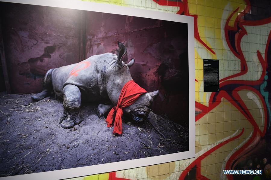 Photo taken on Nov. 19, 2018 shows a photograph exhibited at the World Press Photo Exhibition 2018 at Dupont Underground in Washington D.C., the United States. The exhibition, which is held from Oct. 27 to Nov. 25, showcases the winning photographs from the 61st annual World Press Photo contest, which received over 70,000 photographs taken by 4,548 photographers. (Xinhua/Liu Jie)