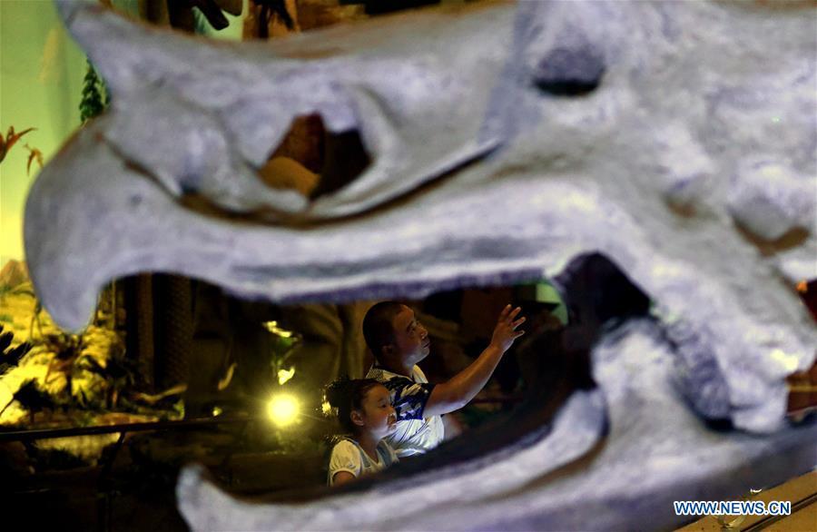 Tourists view dinosaur fossils at the World Dinosaur Valley in Lufeng County, southwest China\'s Yunnan Province, Dec. 23, 2017. The Lufeng World Dinosaur Valley, a dinosaur theme park, exhibited over 100 fossils of a variety of dinosaurs. China is slated to become world\'s largest theme park market by 2020, when the number of tourists is expected to exceed 230 million, according to a fresh report by U.S. engineering firm AECOM. The number of tourists to Chinese theme parks have seen an average annual growth of 13 percent in the past decade, and reached 190 million in 2017. The number is expected to keep the double digit growth in the following years, according to the report. The report attributes the rapid growth to Chinese consumers\' rising income that sparks greater demands on leisure activities, as well as more convenient public transportation systems. (Xinhua/Lin Yiguang)