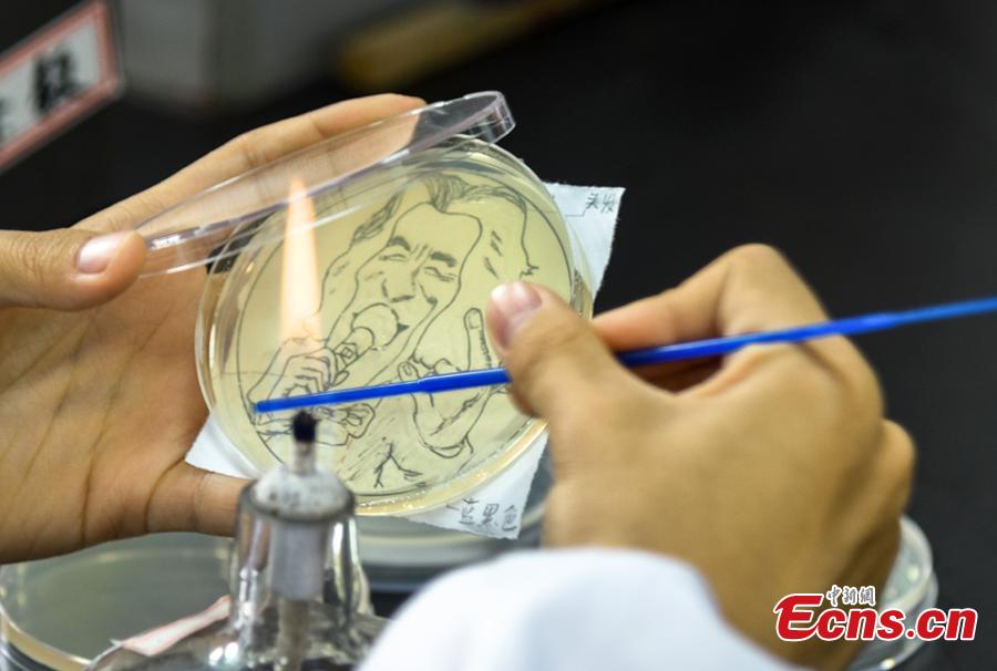Patterns formed with bacteria are shown in petri dishes during a microbial art competition at China Pharmaceutical University in Nanjing, East China’s Jiangsu province. Students of the school have created artworks by placing various strains of bacteria like staphylococcus and colibacillus into petri dishes, and letting the microbes react and spread across carefully drawn patterns.  (Photo: China News Service/ Jiang Chen)