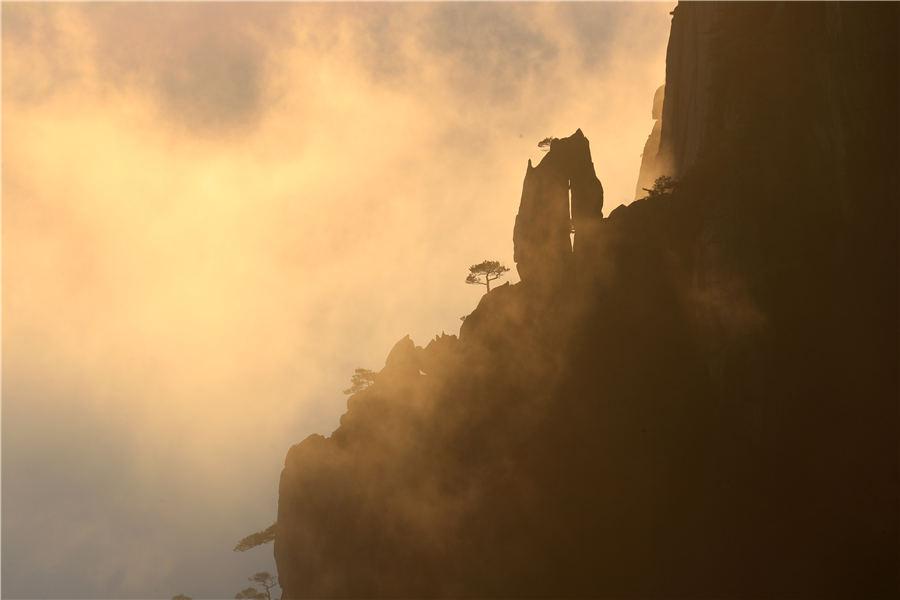 Huangshan Mountain welcomed its first cloud sea spectacle of the winter on Nov 19, 2018. The ever-changing clouds reflect the glimmer of sunset, forming a magnificent landscape. (Photo/Asianewsphoto)