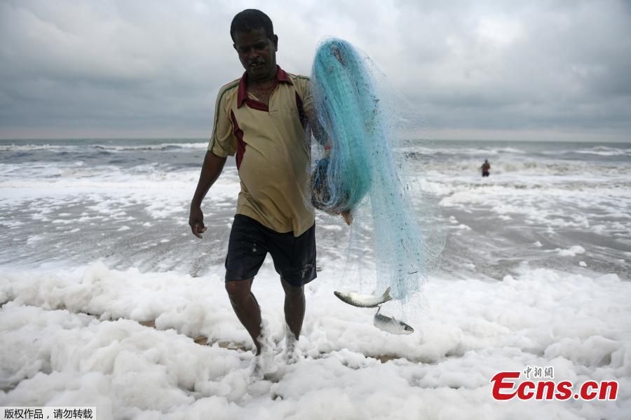 An Indian fisherman carries his catch with his fishing net as foamy discharge, caused by pollutants, mix with surf at a beach in Chennai on November 22, 2018. High levels of sewage and industrial waste was claimed to be the cause of the foam, officials said. (Photo/Agencies)