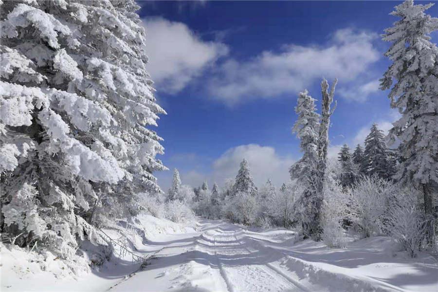 Snowfall has turned the Laoling mountain range into a winter wonderland.  (Photo by An Zhenli for chinadaily.com.cn)