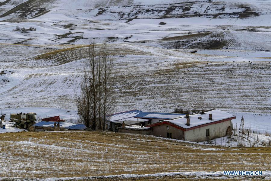 Photo taken on Nov. 22, 2018 shows snow-covered field in Qitai County, northwest China\'s Xinjiang Uygur Autonomous Region. (Xinhua/Zhao Ge)