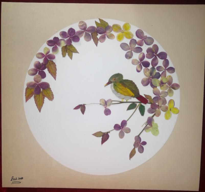An artwork made of pressed flower by Liu Xianghuan. (Photo provided to chinadaily.com.cn)

Her artworks have become popular at home and abroad.