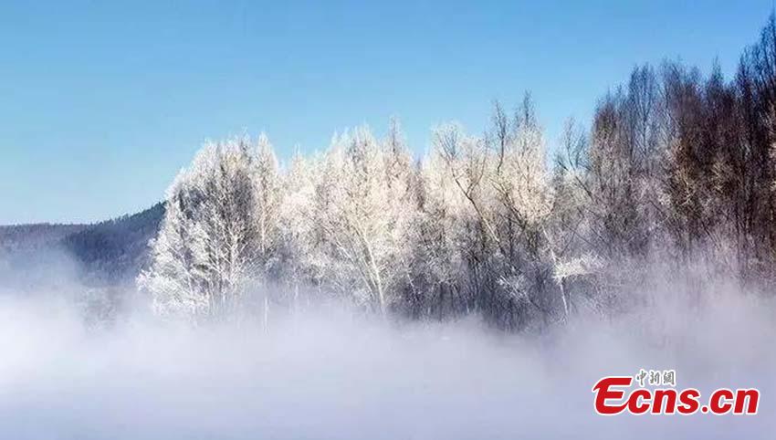 The photo taken in November, 2018 shows the rime scenery in Huzhong, northeast China\'s Heilongjiang province. If you thought it was cold where you are at this moment, then a visit to Huzhong, northeast China\'s Heilongjiang province, might change your mind. A cold front plunged the temperature well below the freezing point to -38 C recent days, the lowest this winter. (Photo: China News Service/ Tian Yunxiang)