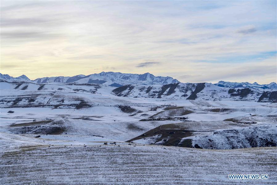 Photo taken on Nov. 22, 2018 shows snow-covered field in Qitai County, northwest China\'s Xinjiang Uygur Autonomous Region. (Xinhua/Zhao Ge)