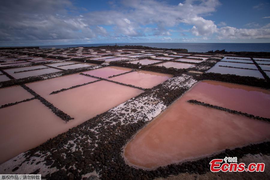A picture shows salt pans at the Salinas de Fuencaliente, south of the island of Las Palmas in Spain on November 26, 2018. Las Salinas de Fuencaliente is an exploitation of 35,000 square metres of high quality sea salt near the Teneguia volcano range. (Photo/Agencies)