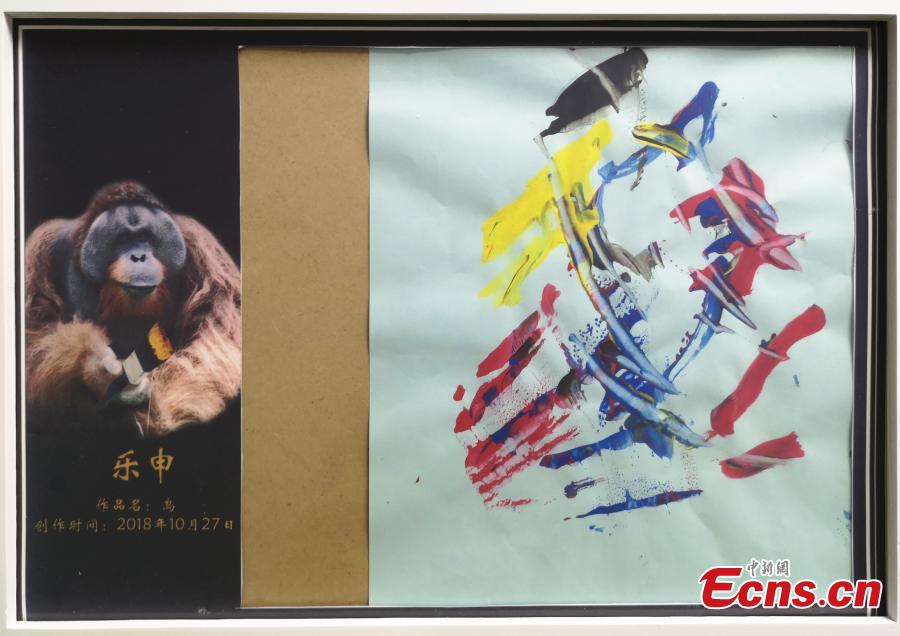 A painting created by an orangutan at a zoo in Nanjing, East China’s Jiangsu province. Leshen, a 19-year-old orangutan at Hongshan Forest Zoo can use a brush to create pictures. After being trained to use brush and pigments, the orangutan chose colors it liked and created six artworks. (Photo: China News Service/ Chen Yuanyuan)