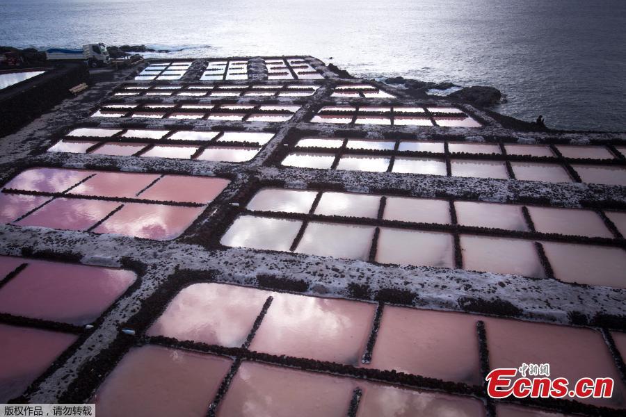 A picture shows salt pans at the Salinas de Fuencaliente, south of the island of Las Palmas in Spain on November 26, 2018. Las Salinas de Fuencaliente is an exploitation of 35,000 square metres of high quality sea salt near the Teneguia volcano range.(Photo/Agencies)