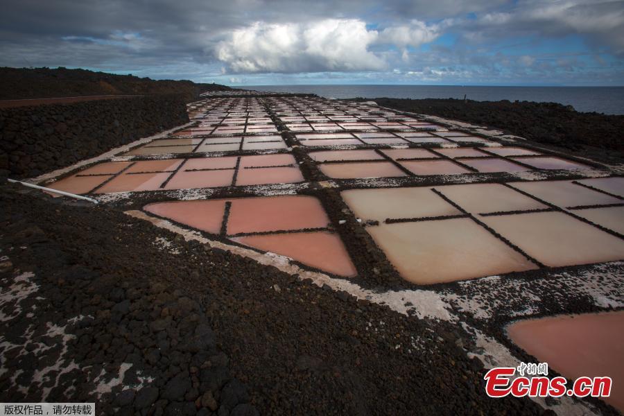 A picture shows salt pans at the Salinas de Fuencaliente, south of the island of Las Palmas in Spain on November 26, 2018. Las Salinas de Fuencaliente is an exploitation of 35,000 square metres of high quality sea salt near the Teneguia volcano range. (Photo/Agencies)