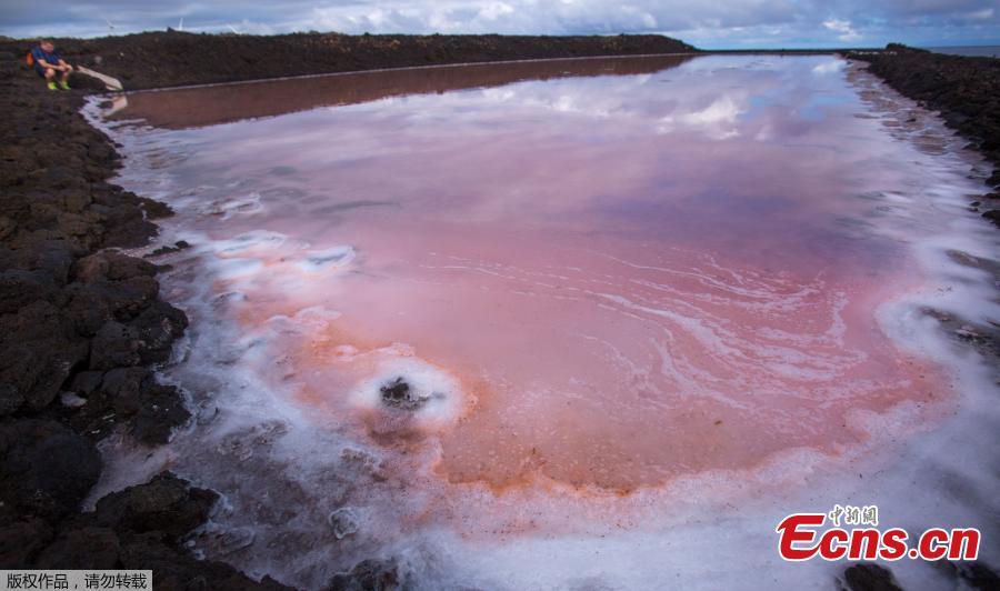 Salt crystals form inside the salt pans at the Salinas de Fuencaliente, south of the island of Las Palmas in Spain on November 26, 2018. Las Salinas de Fuencaliente is an exploitation of 35,000 square metres of high quality sea salt near the Teneguia volcano range.(Photo/Agencies)