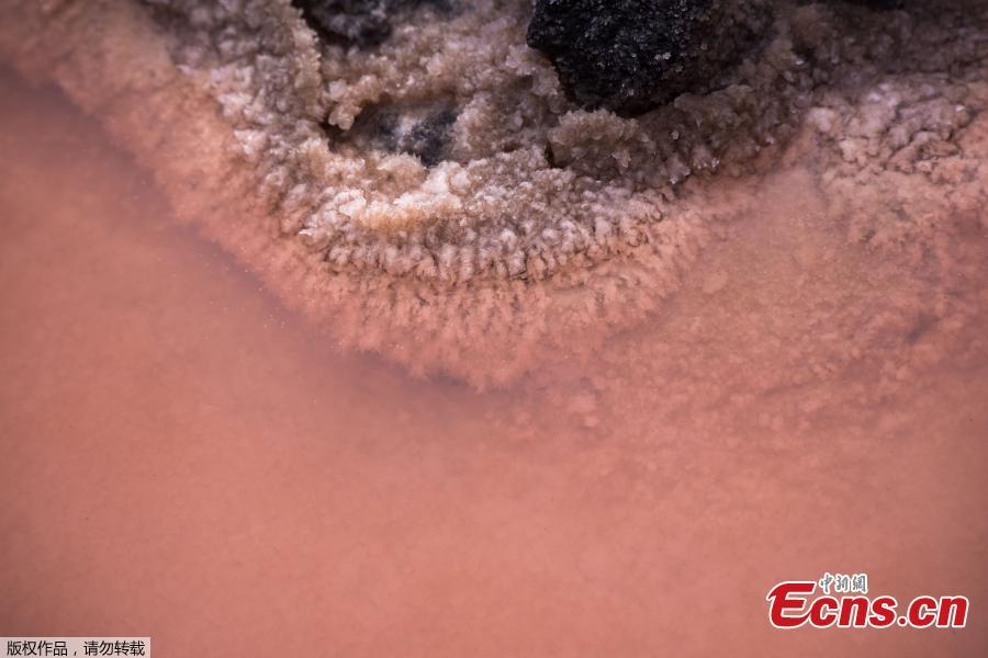 Salt crystals form inside the salt pans at the Salinas de Fuencaliente, south of the island of Las Palmas in Spain on November 26, 2018. Las Salinas de Fuencaliente is an exploitation of 35,000 square metres of high quality sea salt near the Teneguia volcano range. (Photo/Agencies)