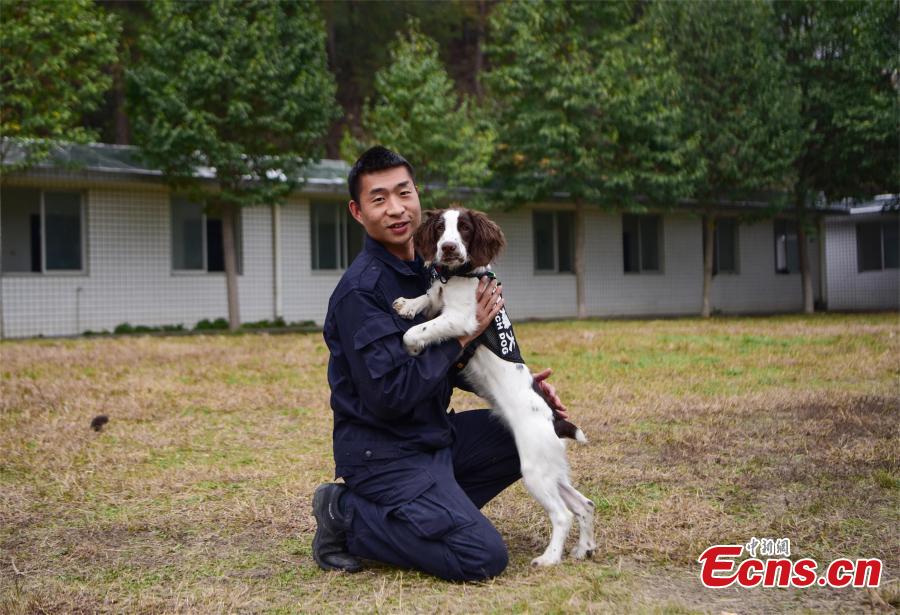 A police dog is trained at a training base In Shiyan, Central China’s Hubei province on November 27, 2018. The base has several dogs that can assist in diverse tasks including patrolling and searching for explosives or drugs. (Photo: China News Servcie/ Zhao Wei)