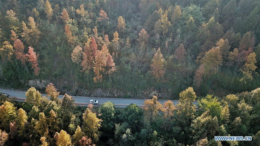 Photo taken on Nov. 28, 2018 shows the winter scenery in Baoji Township, Panzhou City of southwest China\'s Guizhou Province. (Xinhua/Ou Dongqu)