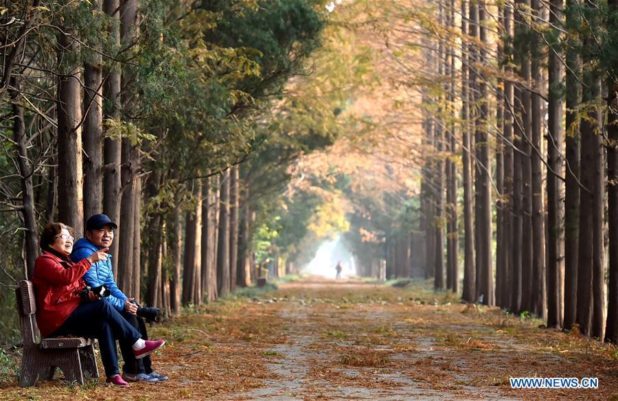 Tourists enjoy the early winter scenery in the Baoying Lake National Wetland Park in Yangzhou City, east China\'s Jiangsu Province, Nov. 24, 2018. (Xinhua/Zhuang Wenbin)