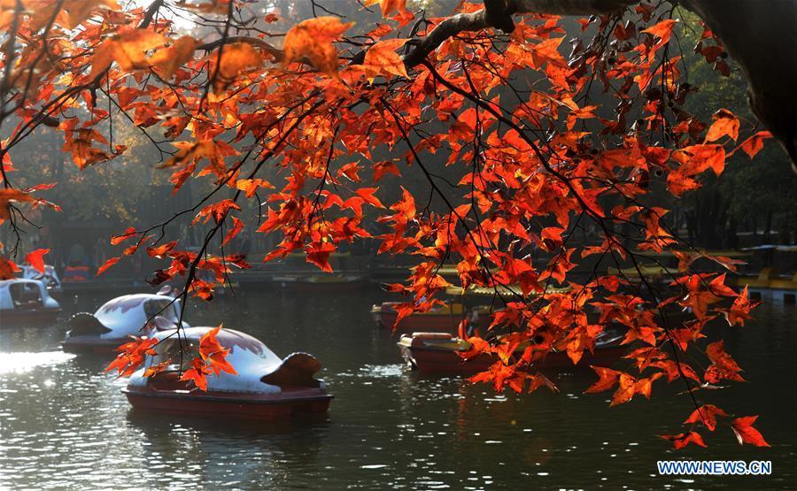 Tourists take sightseeing boats in Tianping Mountain scenic spot in Suzhou City, east China\'s Jiangsu Province, Nov. 27, 2018. (Xinhua/Hang Xingwei)