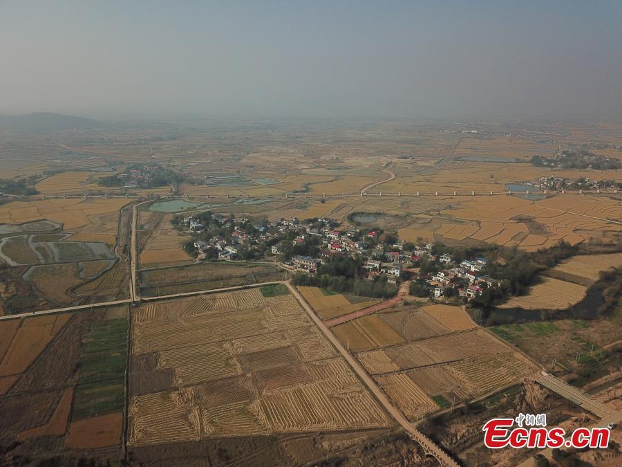The aerial photo shows an archaeological site along a trans-provincial water diversion project in in Lujiang county, East China’s Anhui province. A total of 44 cultural sites are found and put under protection at Anhui section of the water diversion project. (Photo: China News Service/ Li Feng)