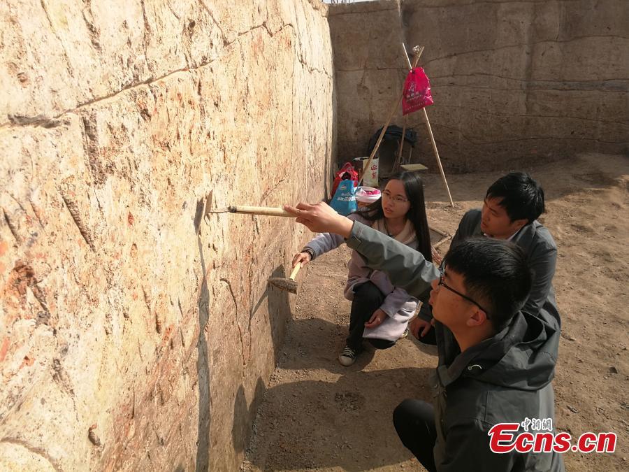 Archaeologists work at a site in Lujiang county, East China’s Anhui province. Cultural relics including ancient steamers, and animal bones were unearthed from archaeological sites along a trans-provincial water diversion project in Anhui province. (Photo: China News Service/Li Feng)