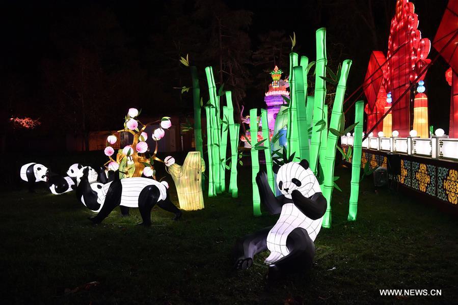 Photo taken on Nov. 30, 2018 shows giant lanterns during the Lantern Festival of Gaillac in Gaillac, France. The 2nd Lantern Festival of Gaillac will open to the public from Dec. 1, 2018 to Feb. 6, 2019, during which 42 sets of Chinese lanterns from Zigong City of southwest China\'s Sichuan Province are presented to visitors. (Xinhua/Chen Yichen)