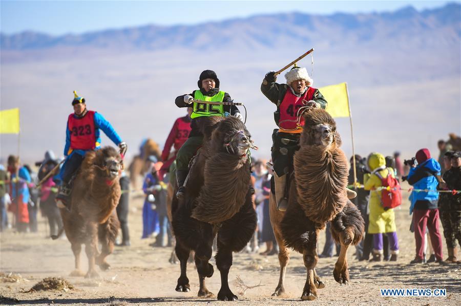 Participants take part in a race during an international camel cultural festival held in Wulatehou Banner, Bayan Nur of north China\'s Inner Mongolia Autonomous Region, Dec. 1, 2018. The three-day festival opened here on Saturday. (Xinhua/Yu Dongsheng)