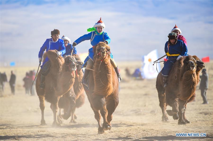 Herdsmen riding camels enter the venue of an international camel cultural festival held in Wulatehou Banner, Bayan Nur of north China\'s Inner Mongolia Autonomous Region, Dec. 1, 2018. The three-day festival opened here on Saturday. (Xinhua/Yu Dongsheng)