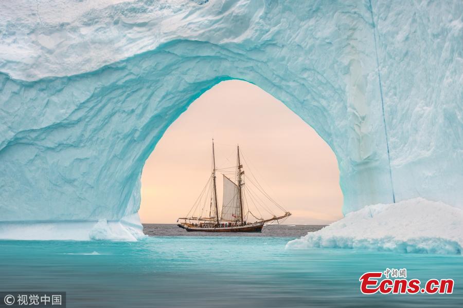 British photographer James Rushworth captured the moment when a schooner passed by a giant iceberg off the east coast of Greenland. The 108-foot-long schooner was dwarfed by the 300-foot-tall turquoise iceberg. The 32-year-old photographer braved temperature of minus 10 degrees Celsius as he waited for the vessel to reach the center of the arch of the iceberg. (Photo/VCG)