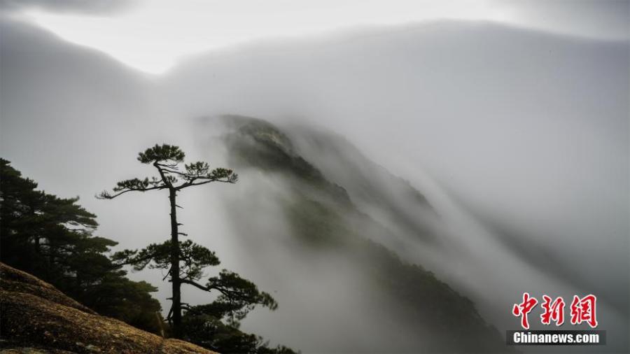 Photo taken on December 5, 2018 shows the sea of clouds at the Huangshan Mountain scenic spot in Huangshan City, east China\'s Anhui Province. (Photo: China News Service/Ye Yongqing)
