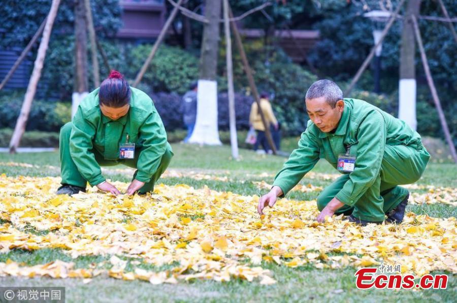 Sanitation workers collect fallen leaves and use them to form various patterns on ground in Qingyang district of Chengdu, Southwest China’s Sichuan province on December 4, 2018. (Photo/VCG)
