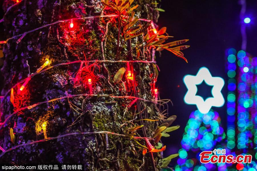 Christmas lights illuminate the Spiritual Center Sacred Sky in Sorocaba in southeastern Brazil. According to the park’s director Luciano Dini, it is the largest private Christmas decoration in the world. There are an incredible 4.5 million lights in a space of 20,000 square meters with gardens, trees and lakes, as well as Santa’s house. (Photo/SIPAPHOTO)