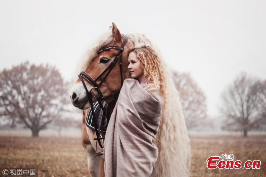 A horse almost resembles princess Rapunzel as it shows off its incredible, long blonde locks. Haflinger horses are renowned for having long manes and this female, called Storm, boasts hair which has reached more than a metre in length over the course of six years. Amateur photographer Priscilla Gijsberts captured the remarkable sight in Limburg, in the south of the Netherlands. Storm\'s owner Naomi Beckers, 24, poses with her horse. (Photo/VCG)