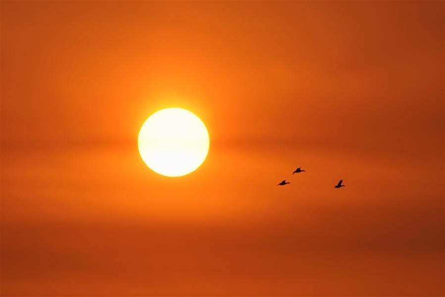 Photo taken on Dec. 6, 2018 shows the sunrise in Baiyangdian of Anxin County, Xiongan New Area, north China\'s Hebei Province. (Xinhua/Xing Guangli)
