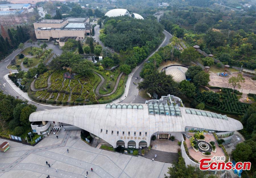A view of the Zigong Dinosaur Museum in Zigong City, Southwest China’s Sichuan Province, Dec. 9, 2018. The museum sitting on top of a large concentration of a diverse dinosaur assemblage from the Dashanpu Formation, is known for vast quantities of dinosaur fossils, sound preservation, and great varieties. It is one of the three largest dinosaur museums in the world. (Photo: China News Service/Liu Zhongjun)