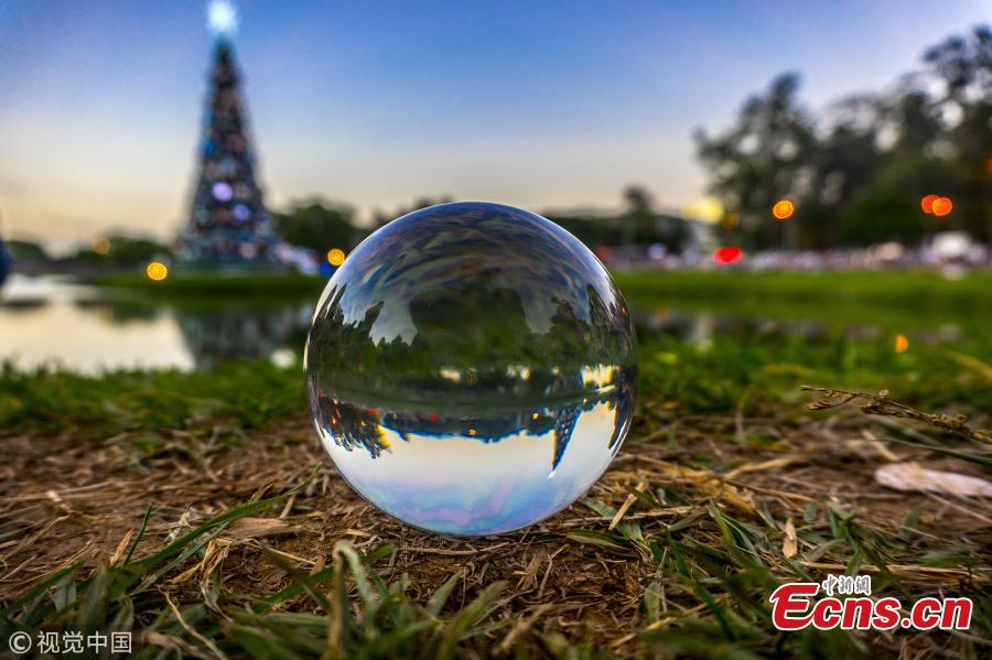 What is it like to spend Christmas in summer? On December 10, people in San Paulo, Brazil, were seen enjoying the view of a huge Christmas tree. Located in the city’s Ibirapuera Park, the tree stands 43 meters high and 15 meters wide. (Photo/VCG)