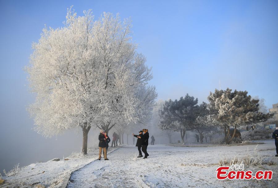 People take photos in front of trees with rime along the Songhua River in Jilin City, Jilin Province, Dec. 12, 2018. The breathtaking scenery attracted many visitors.（Photo; China News Service/Zhang Yao）
