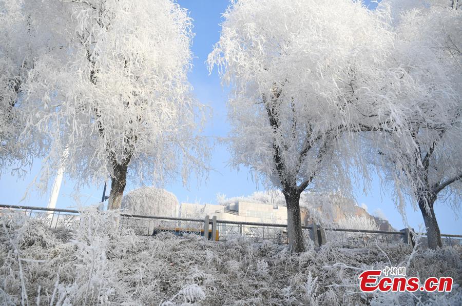 Photo taken on Dec. 12, 2018 shows breathtaking rime scenery along the Songhua River in Jilin City, Jilin Province. （Photo; China News Service/Zhang Yao）