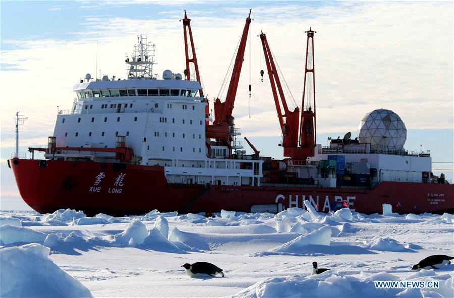 Emperor penguins are seen near China\'s research icebreaker Xuelong in Antarctica, Dec. 5, 2018. China\'s research icebreaker Xuelong, also known as the Snow Dragon, is now 44 kilometers away from the Zhongshan station. Unloading operations have been carried out after the transportation routes were determined. (Xinhua/Liu Shiping)