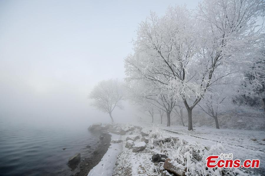Photo taken on Dec. 12, 2018 shows breathtaking rime scenery along the Songhua River in Jilin City, Jilin Province. （Photo; China News Service/Zhang Yao）