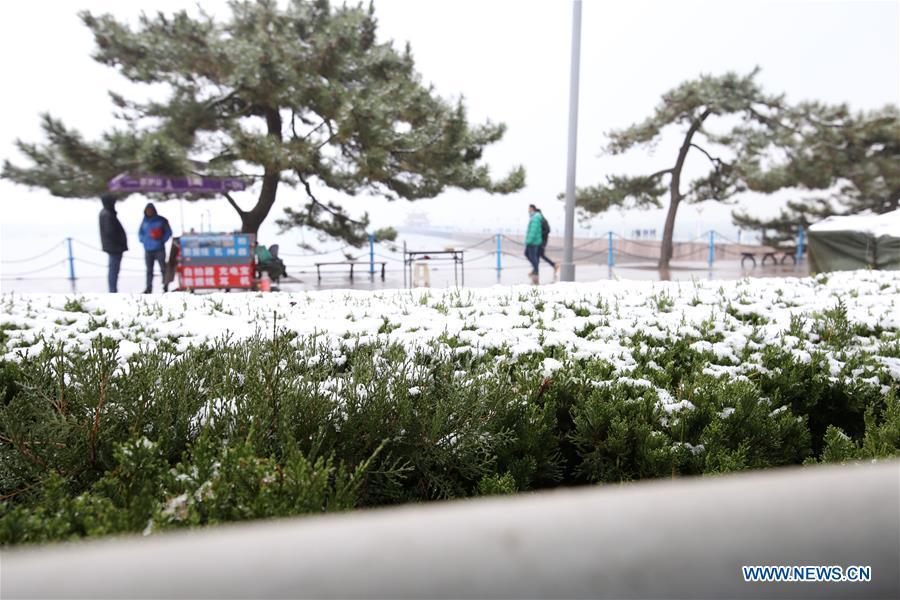 Photo taken on Dec. 11, 2018 shows the snow scenery in Qingdao, east China\'s Shandong Province. Parts of Shandong Province met snow on Tuesday. (Xinhua/Huang Jiexian)