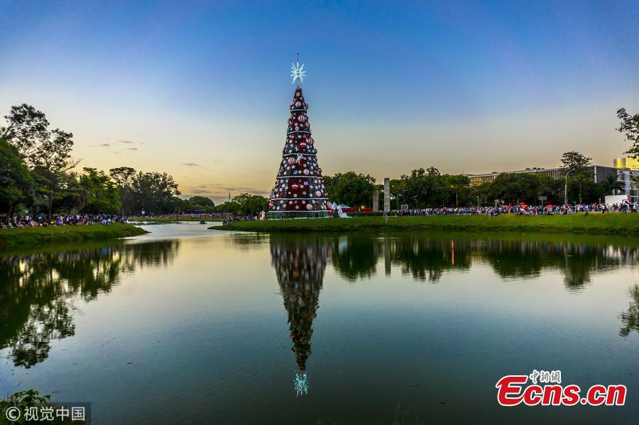 What is it like to spend Christmas in summer? On December 10, people in San Paulo, Brazil, were seen enjoying the view of a huge Christmas tree. Located in the city’s Ibirapuera Park, the tree stands 43 meters high and 15 meters wide. (Photo/VCG)