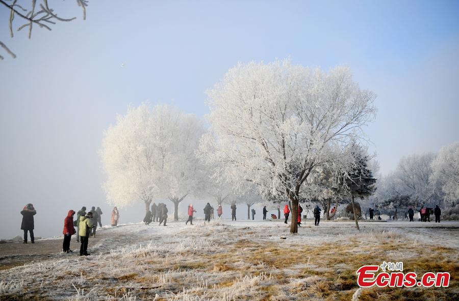 The rime scenery along the Songhua River in Jilin City, Jilin Province attracts many visitors, Dec. 12, 2018. （Photo; China News Service/Zhang Yao）