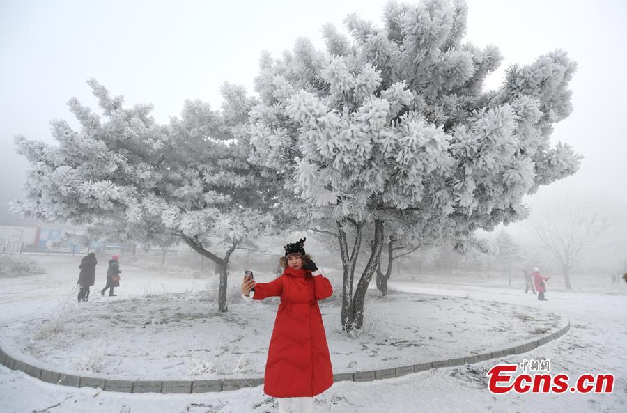 A woman takes photos in front of trees with rime along the Songhua River in Jilin City, Jilin Province, Dec. 12, 2018. The breathtaking scenery attracted many visitors. （Photo; China News Service/Zhang Yao）